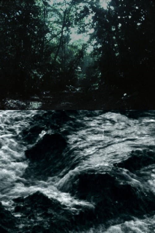 Ceiba (2016) poster