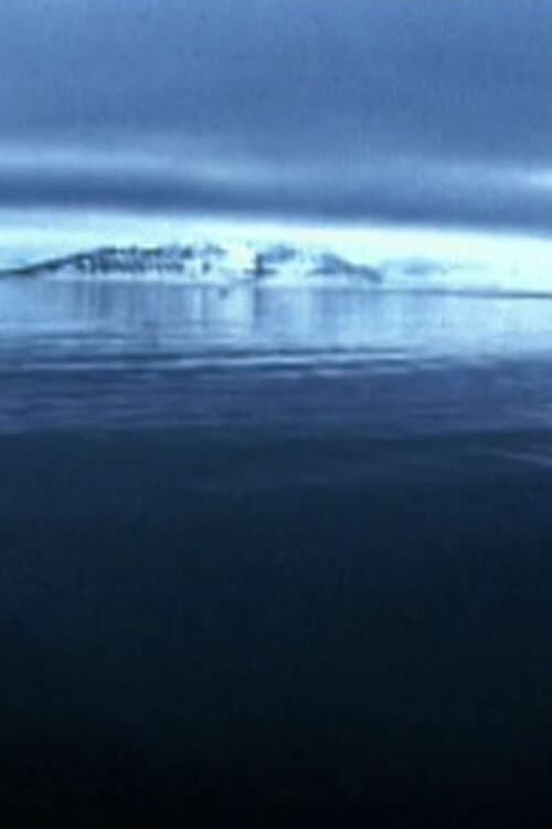 Le cercle (2005) poster