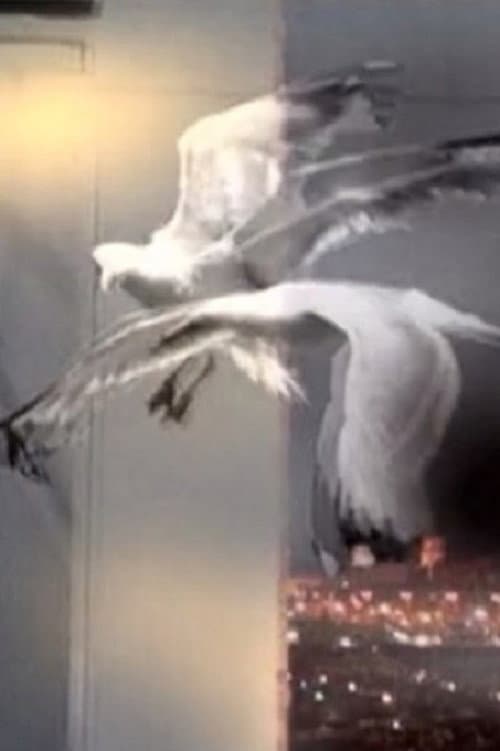 Entrer Dans Le Rêve (2009) poster