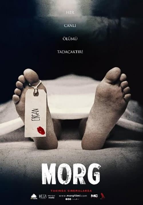 Morg (2017) poster