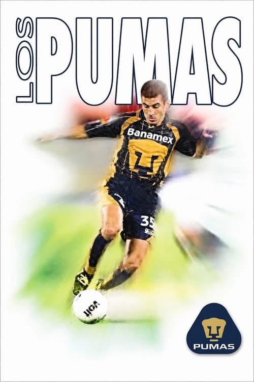 40 años de los Pumas (2002) poster