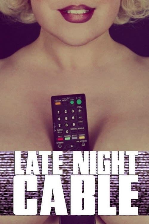 Late Night Cable (2016) poster