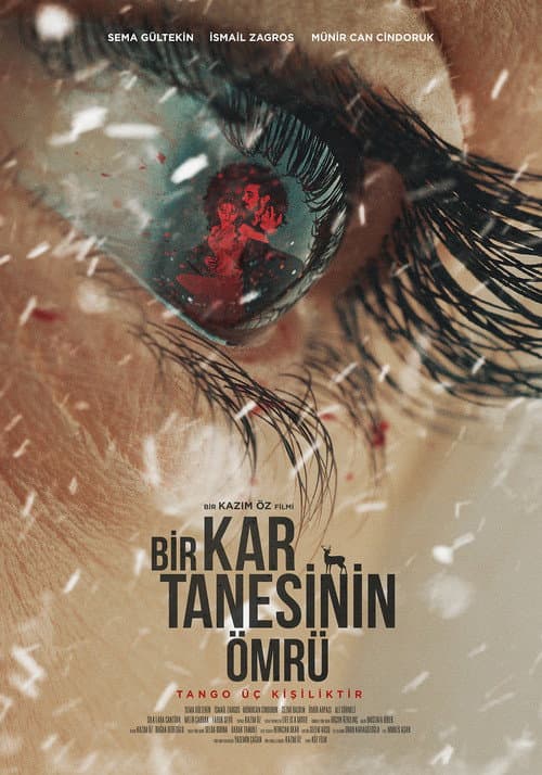 Bir Kar Tanesinin Ömrü (2022) poster