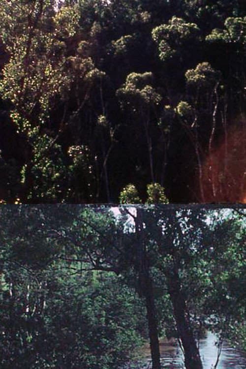 At Eltham, a Metaphor on Death (1974) poster