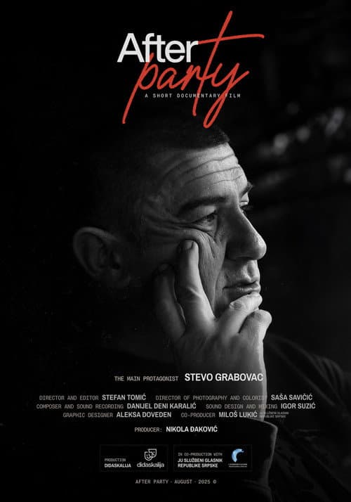 Poslije zabave (2025) poster
