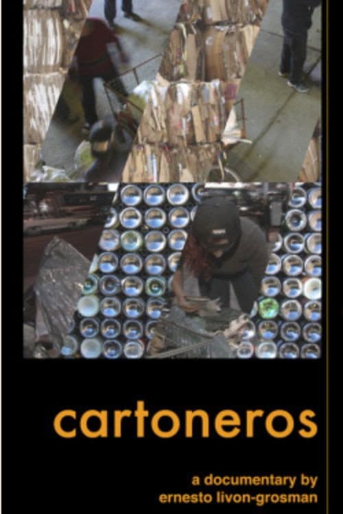Cartoneros (2006) poster