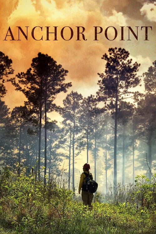 Anchor Point (2021) poster