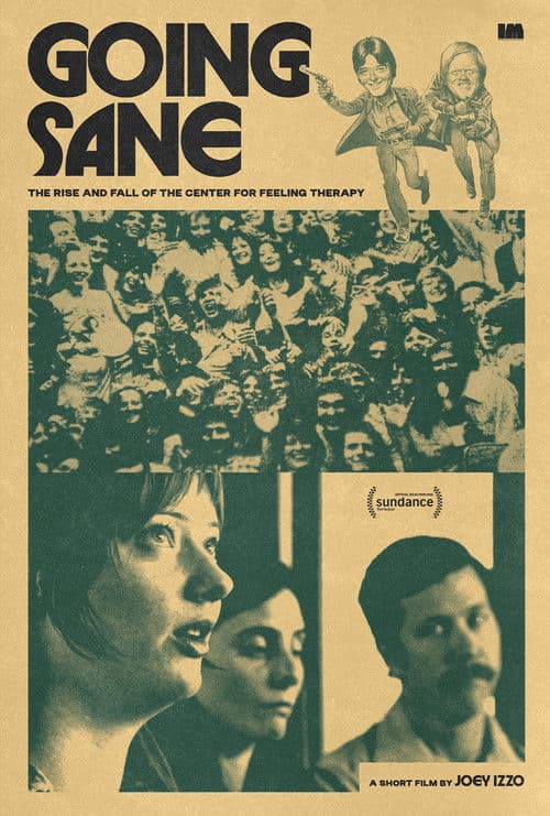 Going Sane: The Rise and Fall of the Center for Feeling Therapy (2026) poster