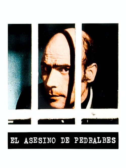 El asesino de Pedralbes (1978) poster