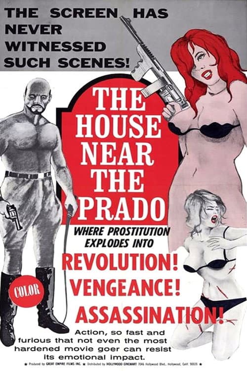 The House Near the Prado (1969) poster