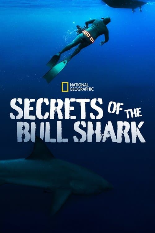 Secrets of the Bull Shark (2020) poster