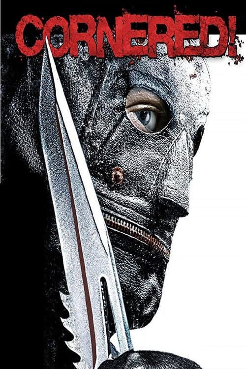 Cornered! (2009) poster