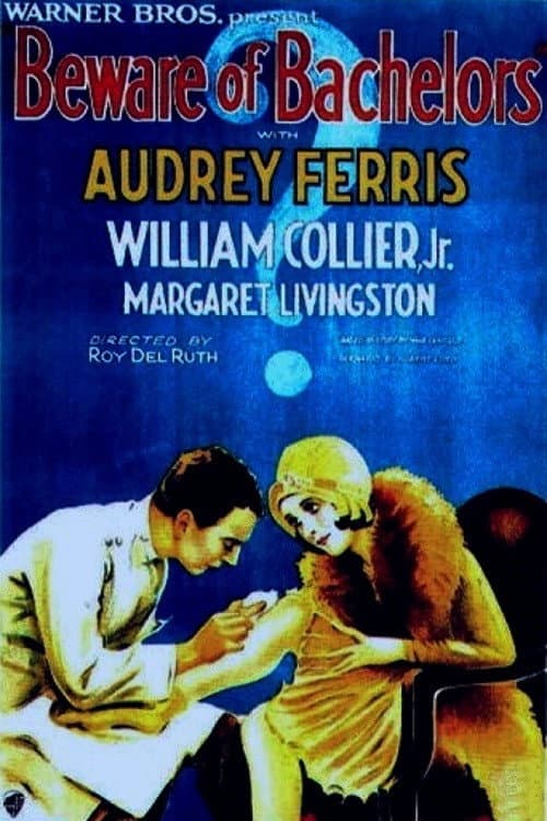 Beware of Bachelors (1928) poster