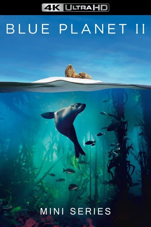 Blue Planet II (2017) poster