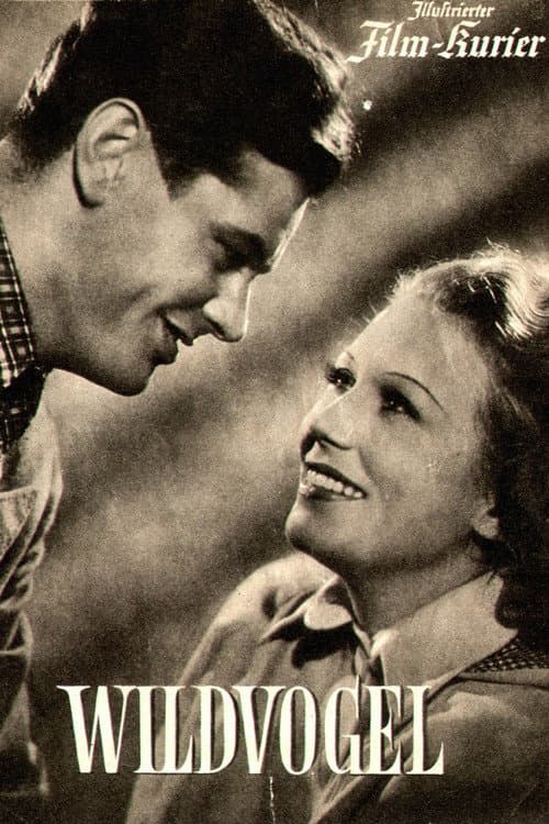 Wildvogel (1943) poster