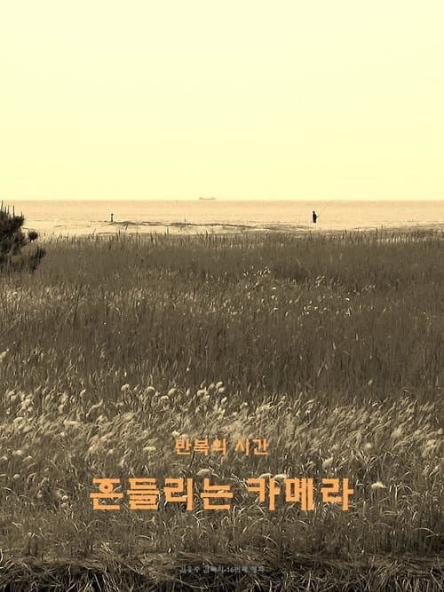 wandering camera (2020) poster