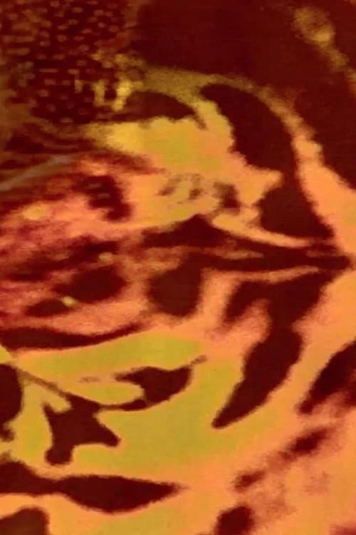 Animal macula (2021) poster