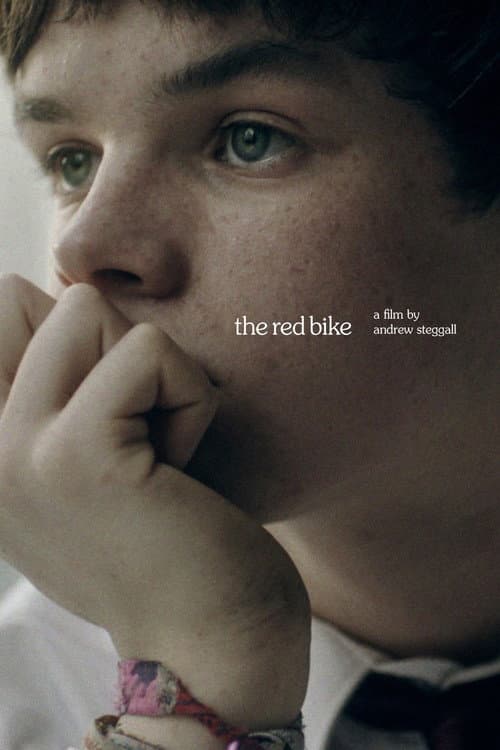 The Red Bike (2011) poster