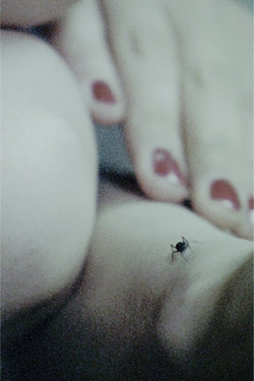 Nachglühen (2008) poster