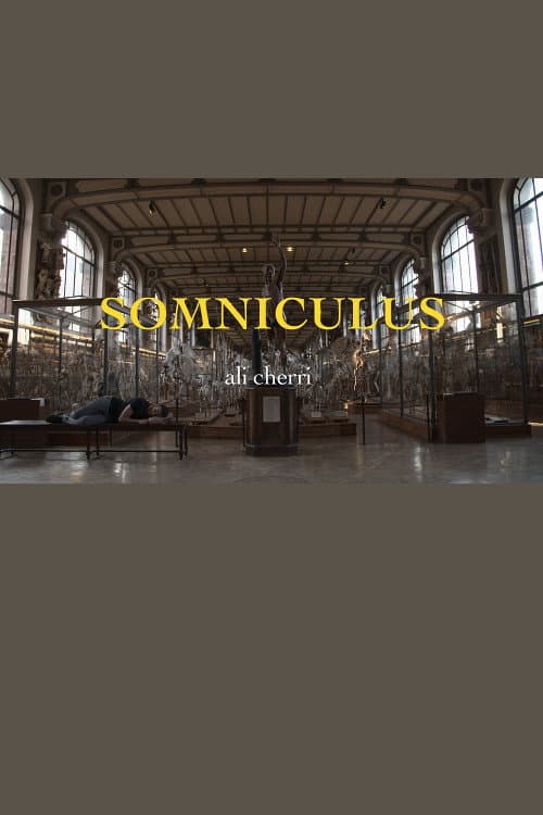 Somniculus (2017) poster
