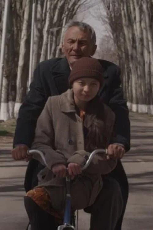 Чайка (2012) poster
