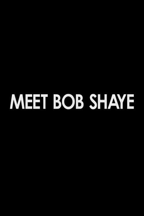 Meet Bob Shaye (2004) poster