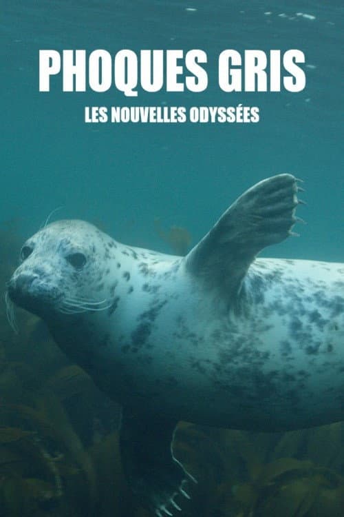 Phoques gris, les nouvelles odyssées (2016) poster