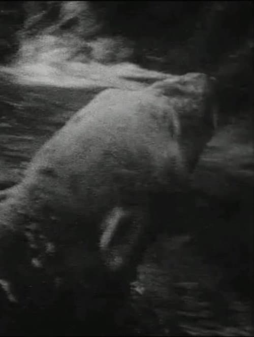 Eisbär (1993) poster