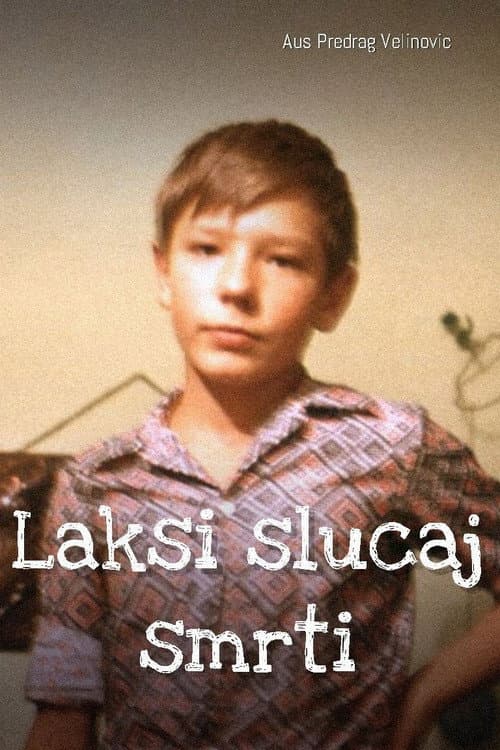 Lakši slučaj smrti (1993) poster