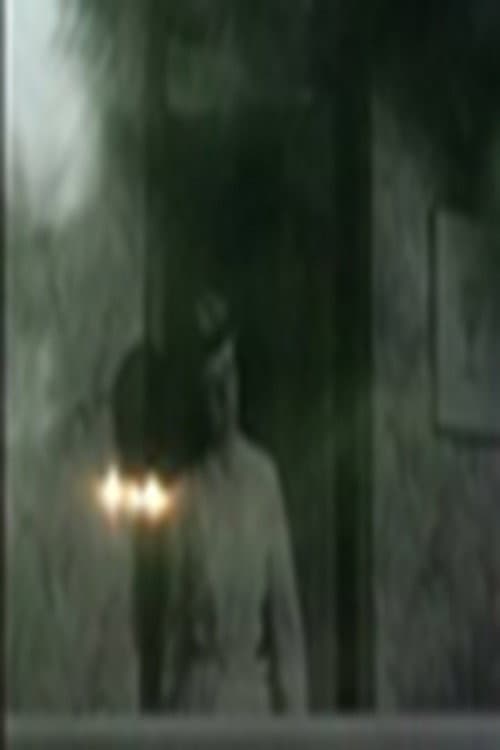 13 track 13 #3 (2009) poster