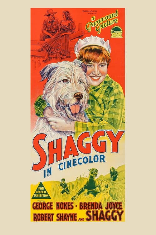 Shaggy (1948) poster