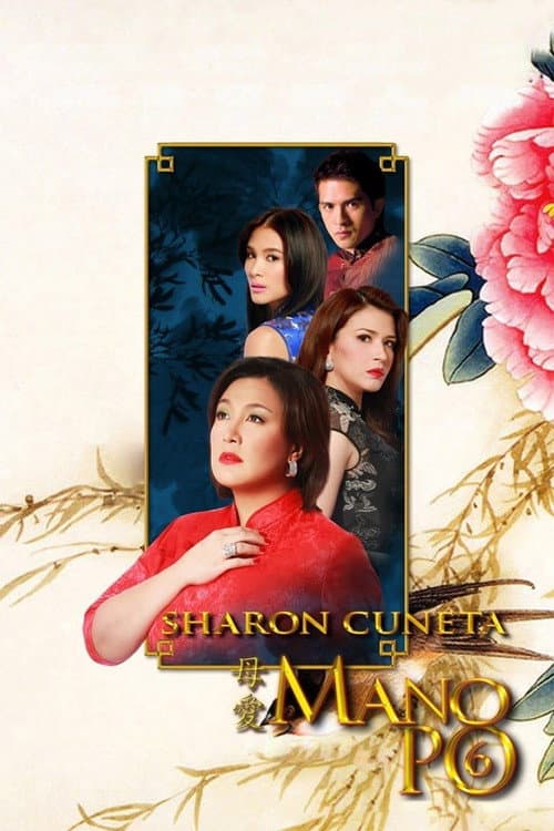 Mano Po 6: A Mother's Love (2009) poster