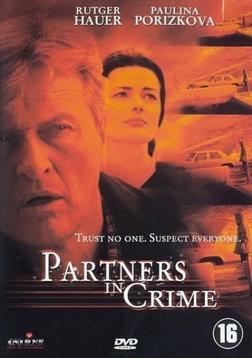 Partners in Crime (2000) poster