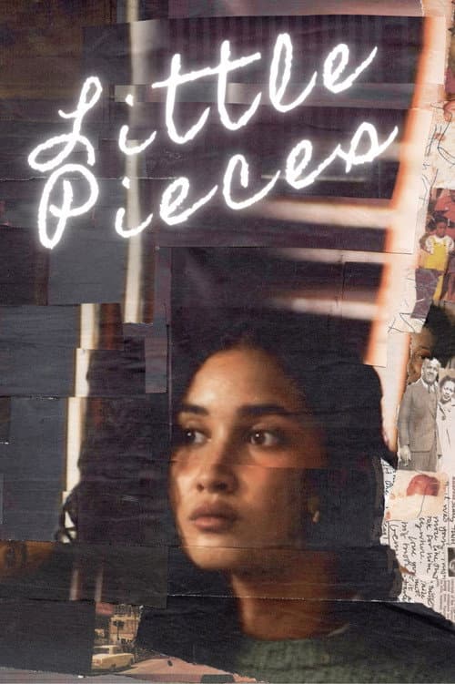 Little Pieces (2026) poster