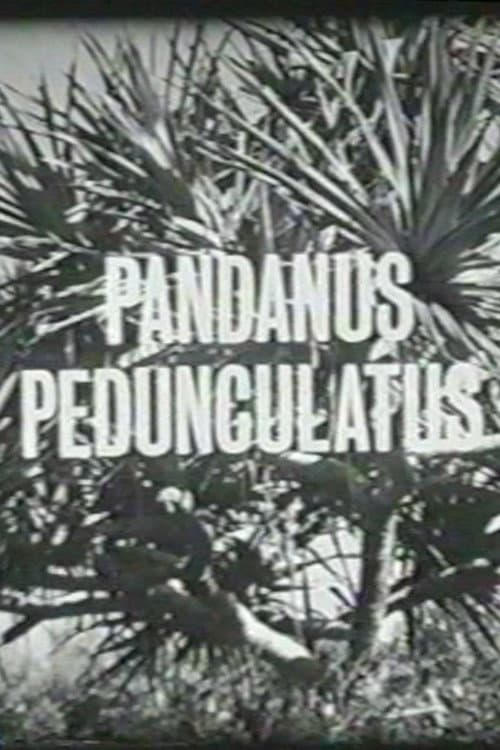 Pandanus Pedunculatus (1963) poster