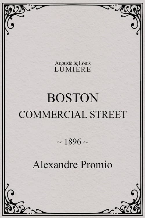 Boston, Commercial Street (1896) poster