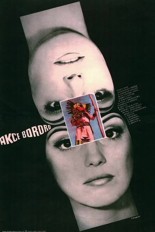 Akce Bororo (1973) poster
