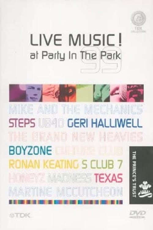 Party in the Park 1999 (2002) poster