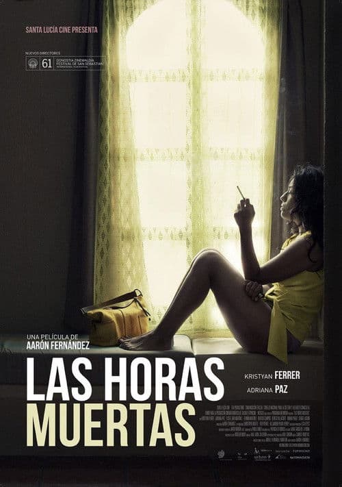 Las horas muertas (2013) poster
