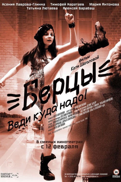 Берцы (2014) poster
