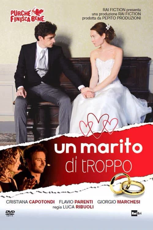Un marito di troppo (2014) poster