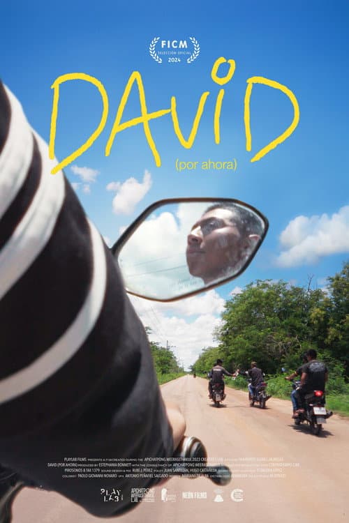 David (Por Ahora) (2024) poster