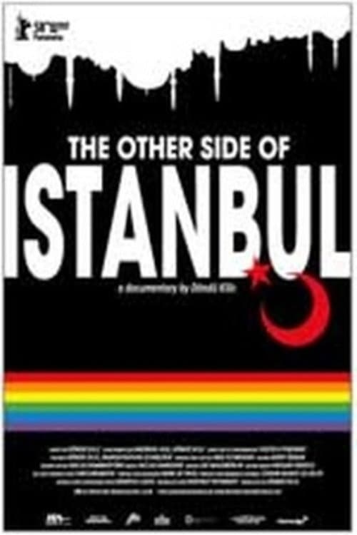 Das andere Istanbul (2008) poster