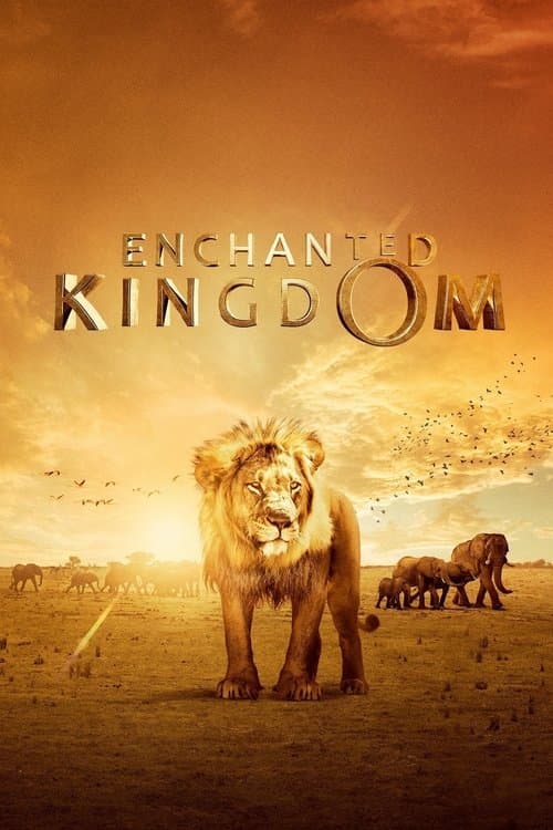 Enchanted Kingdom (2014) poster
