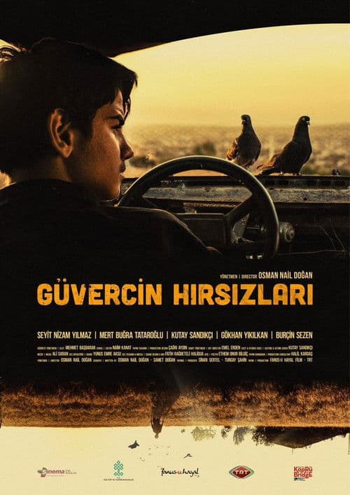 Güvercin Hırsızları (2018) poster