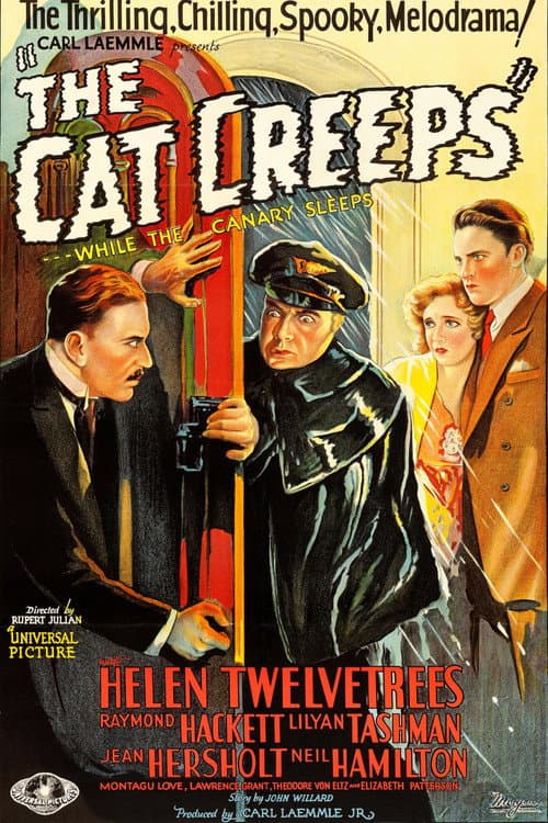 The Cat Creeps (1930) poster