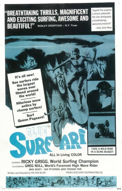 Surfari (1967) poster