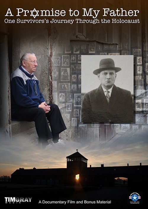 A Promise to My Father (2013) poster