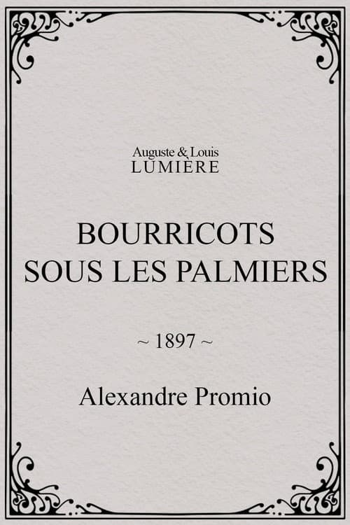 Bourricots sous les palmiers (1897) poster