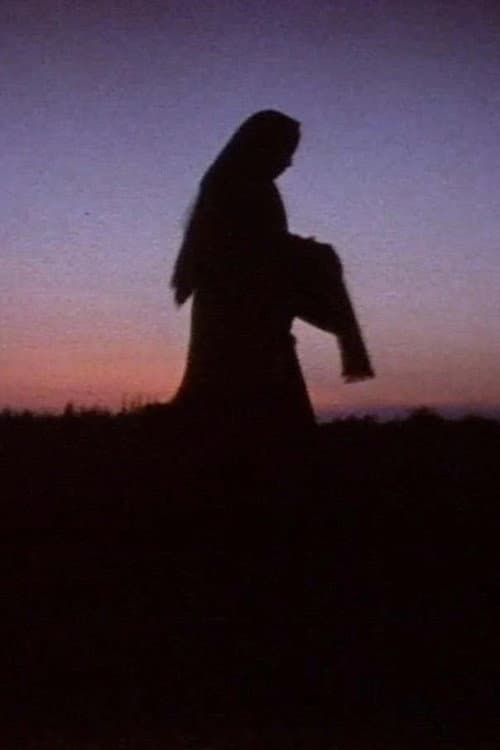 Women in the Shadows (1991) poster